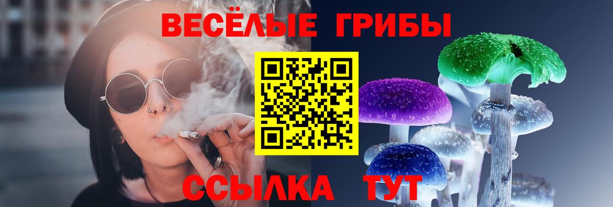 Галлюциногенные грибы Cubensis Муром